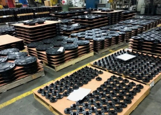 1/2-48 Güçlü bağlantılar ve güvenilir performans için 900 Sınıfı Çelik Flanges