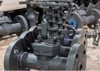 Sınıf 150-1500 lb Çelik kapı valfi, bultlu bonetli manuel çalıştırma