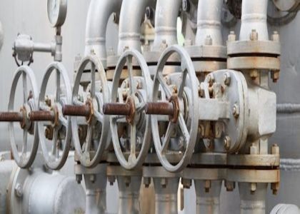 API ANSI JIS GOST DIN Manual Steel Gate Valve PT Bolted Bonnet ile Tek Kılıflı