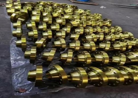 İnşaat projeleri için 2500 Sınıf Sıcak Galvanizli Çelik Flanges