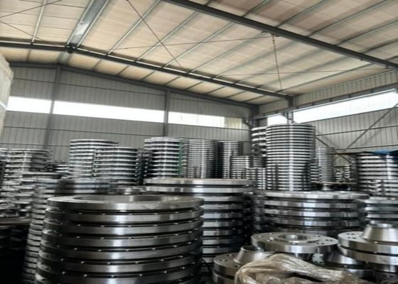 GOST Standart Çelik Flanges Özel dökme çelik/WCB/WC6/ paslanmaz çelik gövde