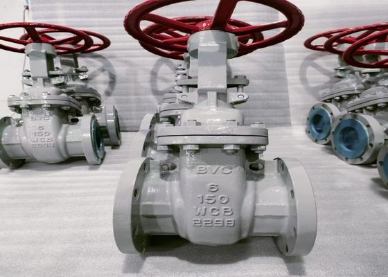 Yüksek büyüme piyasaları için özel OEM hizmetleri