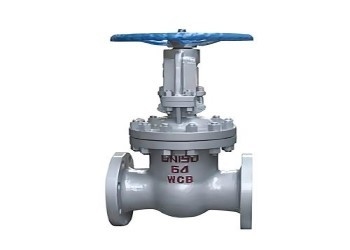 El çelik kapı valfi DN10-DN50 Yüksek Basınçlı Boltlu Kapon