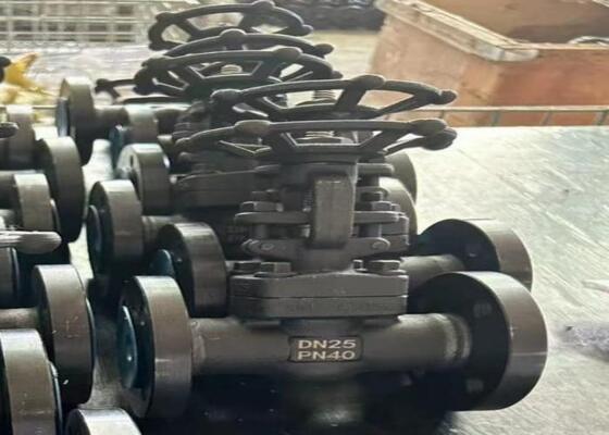 DN10-DN50 150lb-1500lb Yüksek korozyon direnci ile el çelik kapı valfi