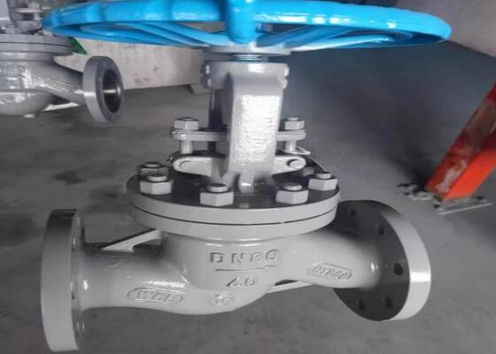 Çelik Valflar DN10-DN50 Kolay Kurulum için El İşletilmesi ve Boltlu Kaponlu