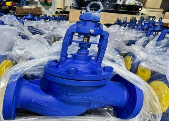 DN10-DN50 150lb-1500lb Yüksek korozyon direnci ile el çelik kapı valfi